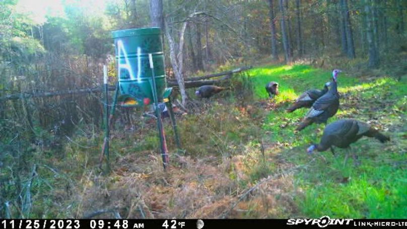 Ashley Co-40-Givens-08