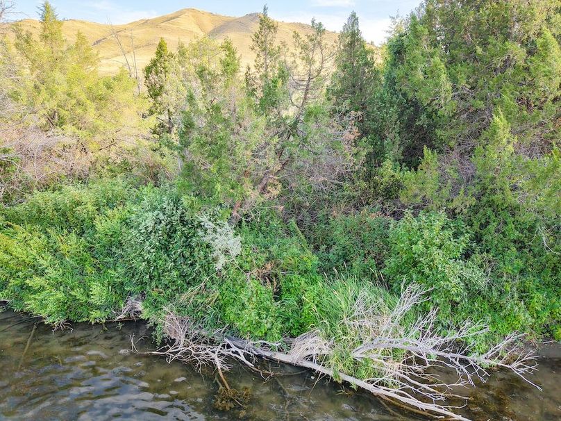 20250728-DJI_20250728184338_0064_D