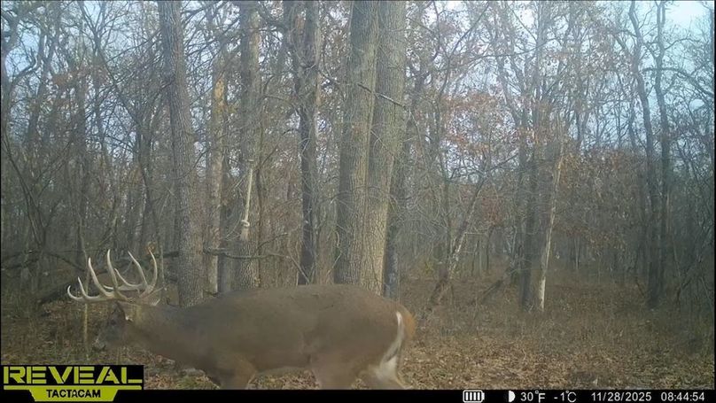 Screenshot_24-1-2026_8397_drive.google.com