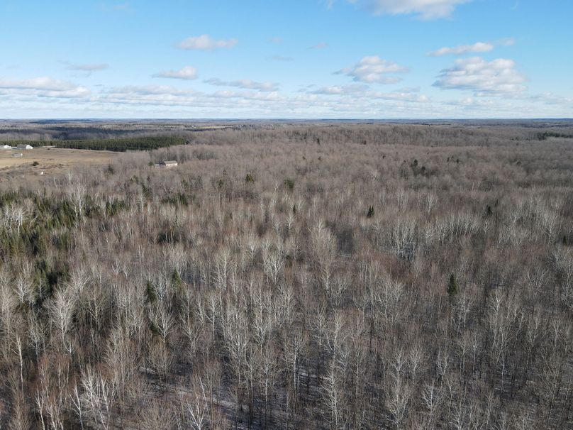 DJI_0851