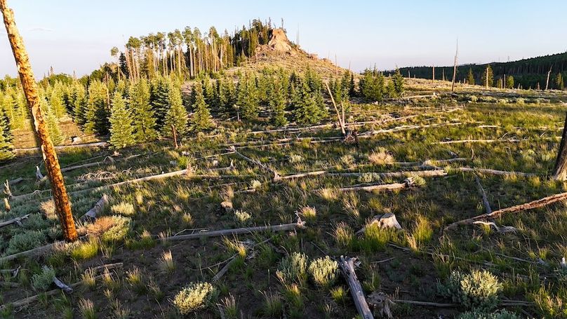 DJI_20250627201854_0079_D