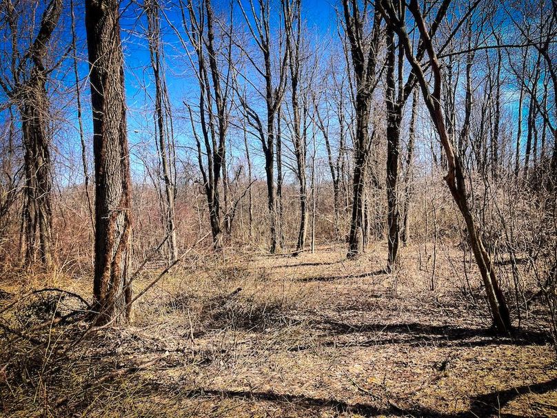 Oswego_13.95_Moore_Bush_Photos_12