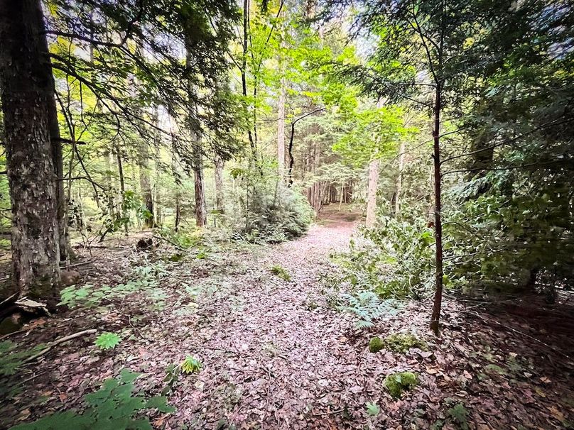 Oswego_25.66_Pettit_Photos_36