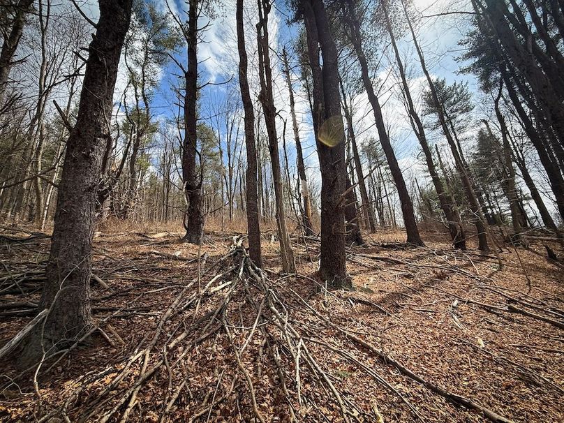 Chemung_32.07-Bower_photos_43