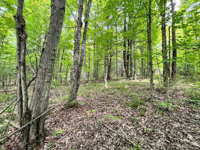 Tioga_78_Biada_Photos_35