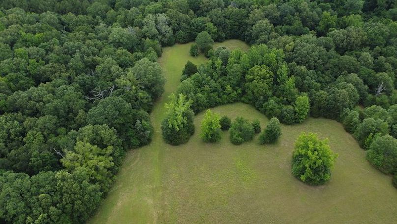 DJI_0259