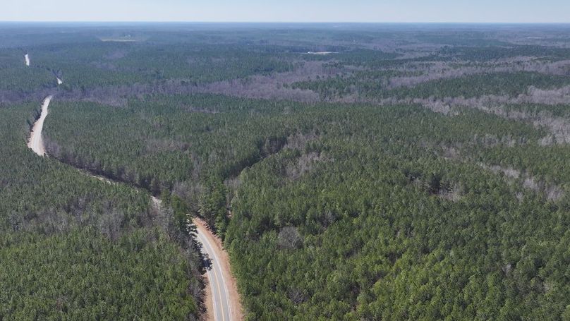 DJI_20250224104210_0552_D