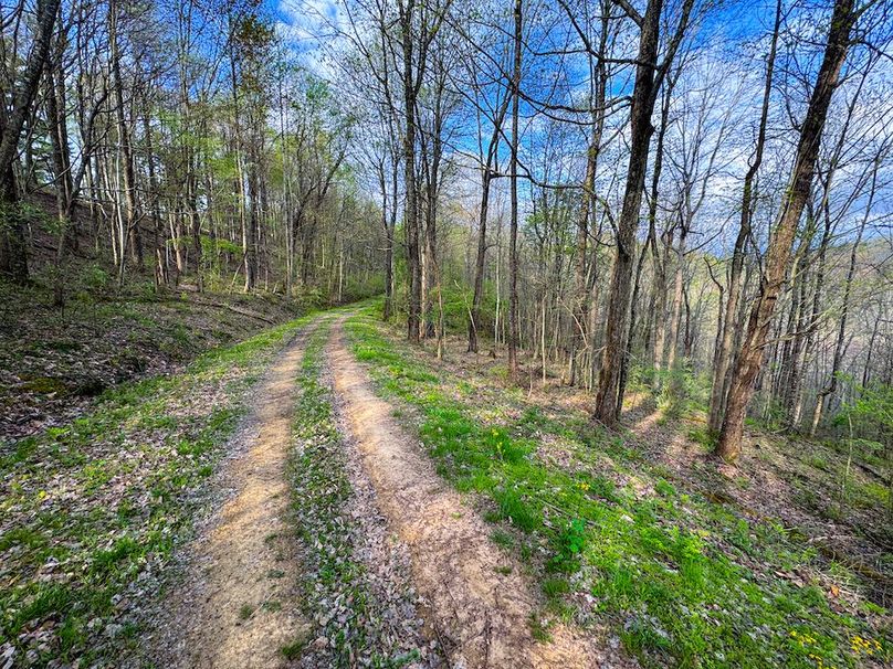 Calhoun, WV 132.84 AC Szegi 2-125