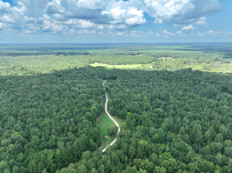 dji_fly_20230731_133312_460_1690845649426_photo