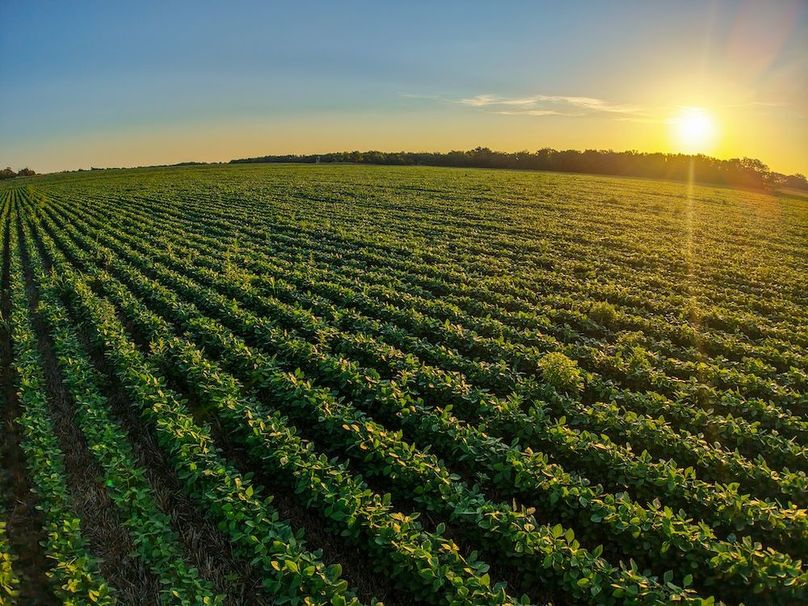 DJI_20250816071725_0752_D