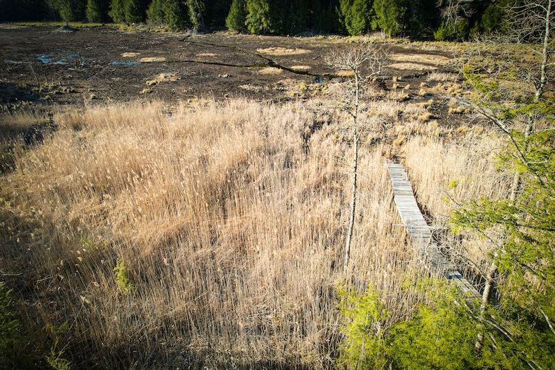 Oswego_17.88_Feld_Photos_41