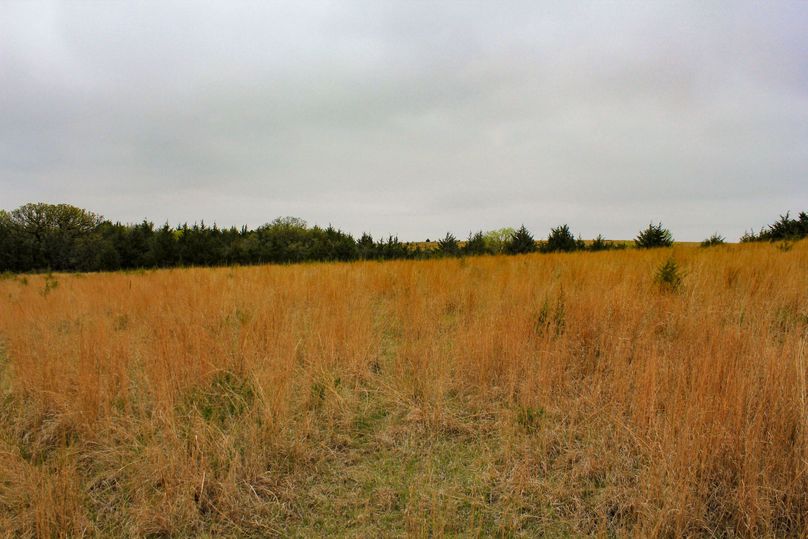 Washington, Co, 83.3_021