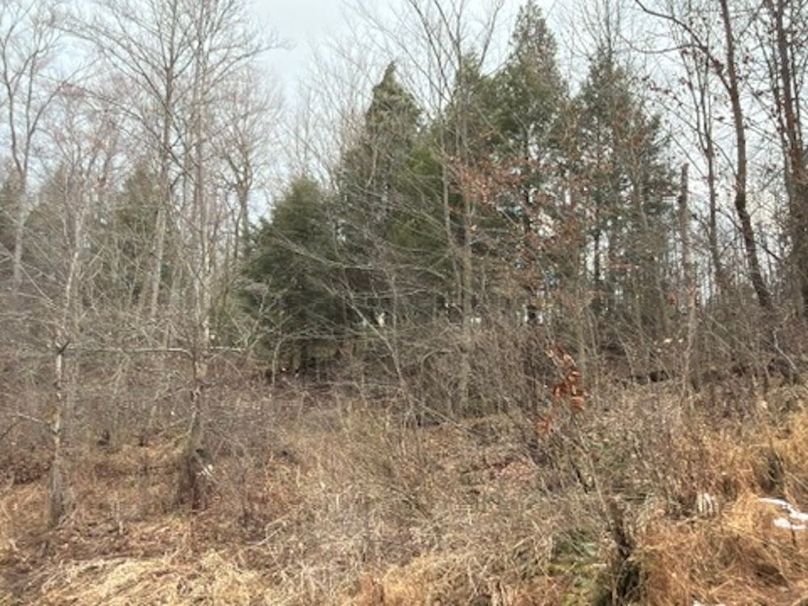 48924DFC-76B5-433E-98E0-6DF01D5DE285_4_5005_c