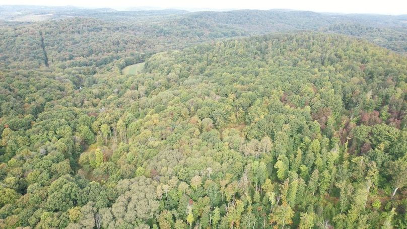 dji_fly_20240919_101040_688_1726755208738_photo