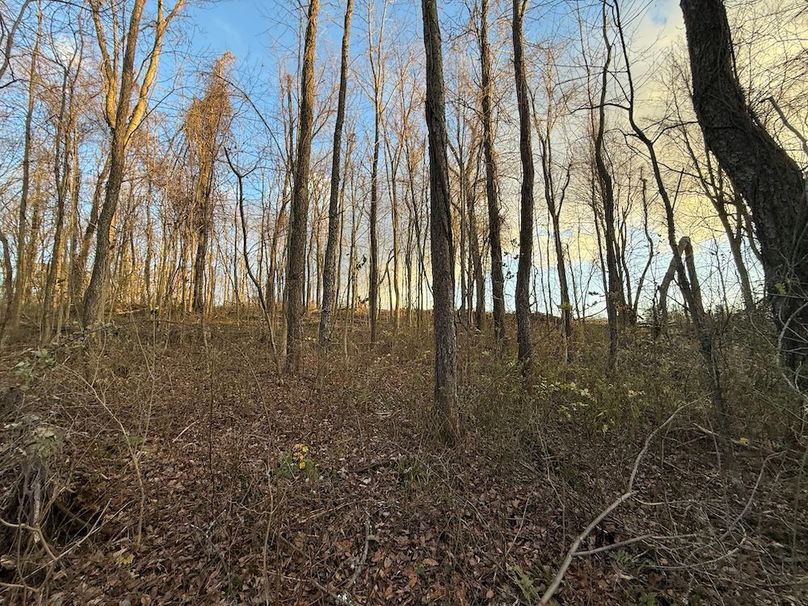 Wayne_29.09_BD_LandParcel_17