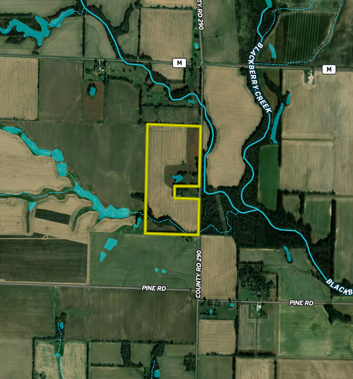 Screenshot 2026-03-11 at 2.41.52 PM