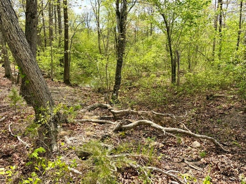 64EDFE92-A120-4854-BED8-F79160D3478B_1_105_c-2