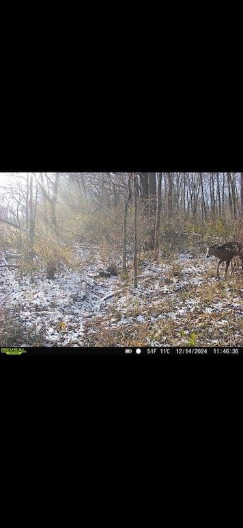 Screenshot 2026-02-27 at 4.12.53 PM