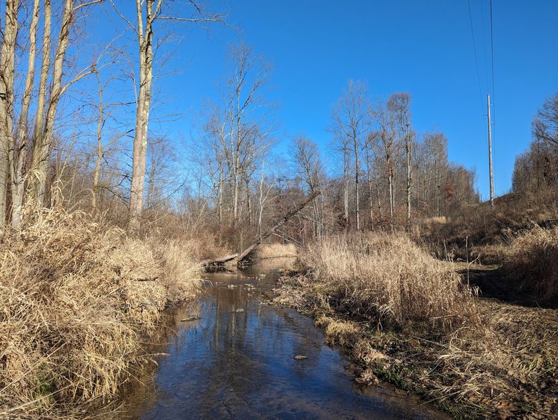 PXL_20231215_170517208