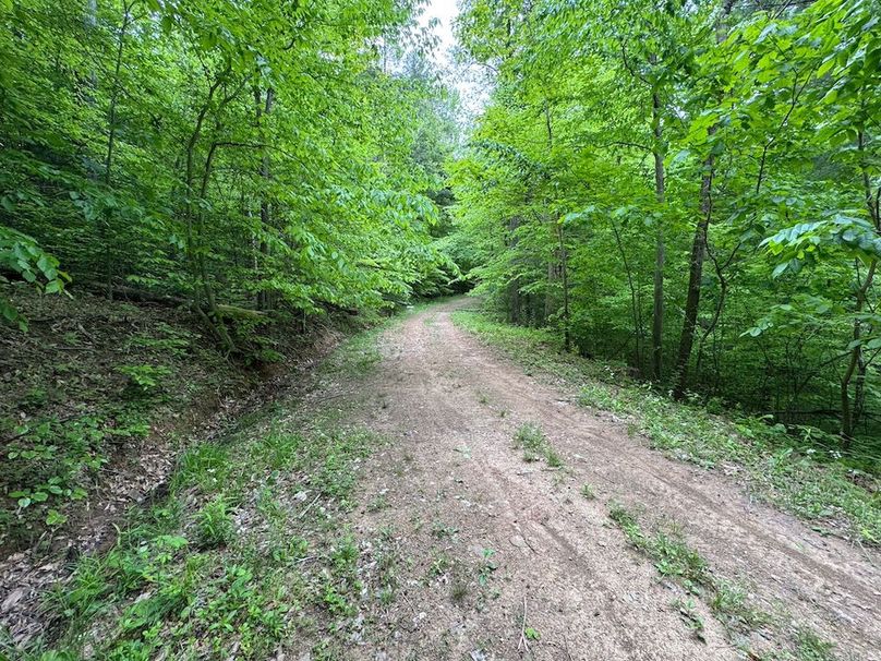 Pleasants, WV 168.59 AC Superior, Swank, Young-089