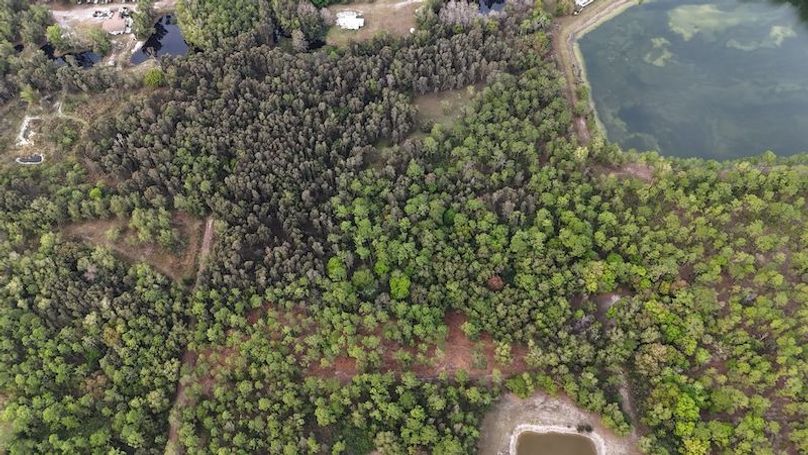 DJI_20260118094115_0172_D