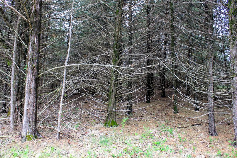 Washington, Co, 83.3_023