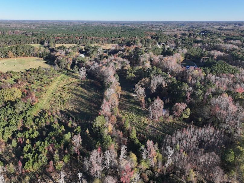 DJI_20241124090213_0208_D