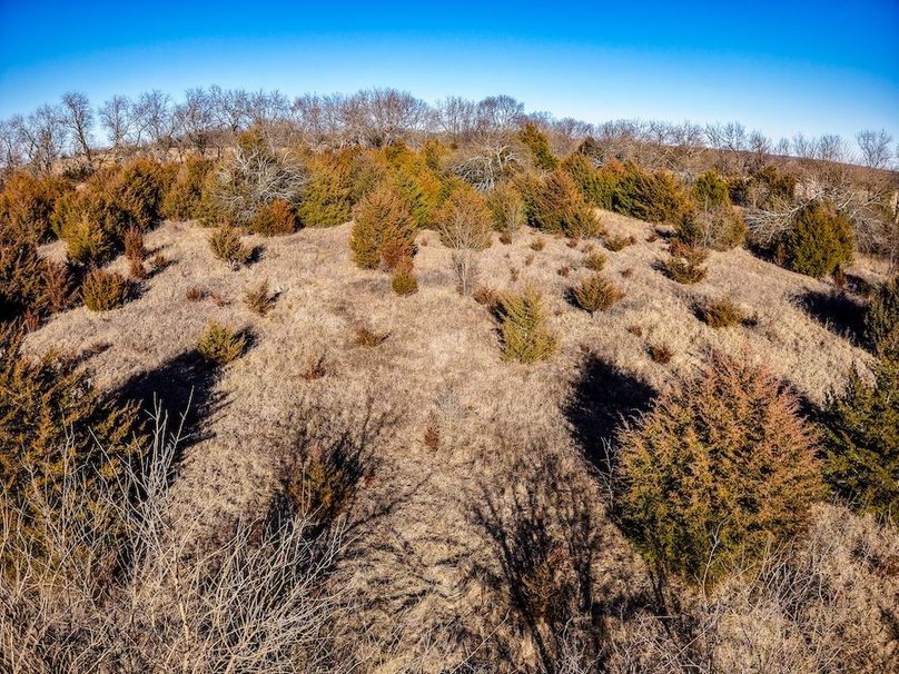 DJI_20260119145430_0849_D