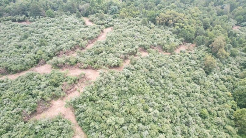 dji_fly_20250806_130140_566_1754499811827_photo