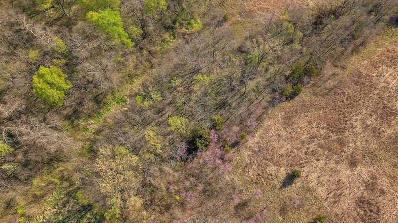 DJI_0099