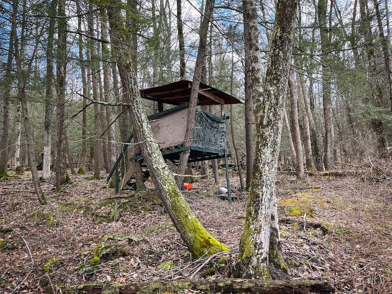 Tioga__NY_109.7_Burris_Photos_41