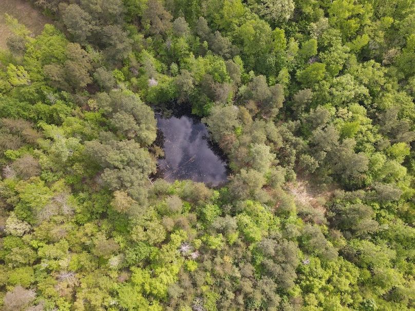 DJI_0464