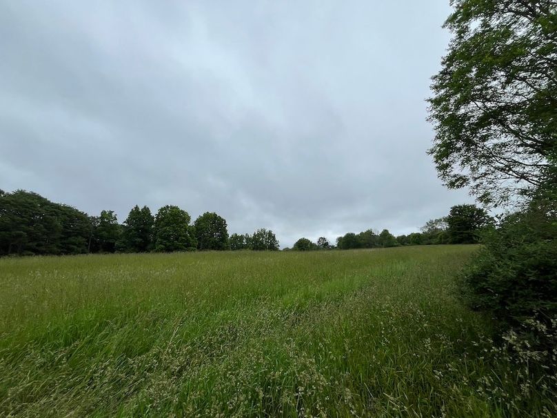 Chemung_116.3_Stamm Photo 10