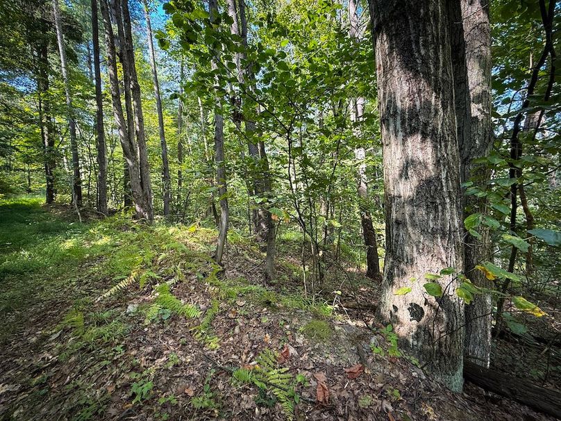 Tioga NY 86.705 Capwell Photos 27