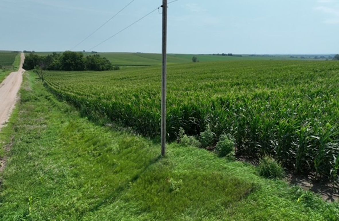 dji_fly_20250805_125440_381_1755697034135_photo