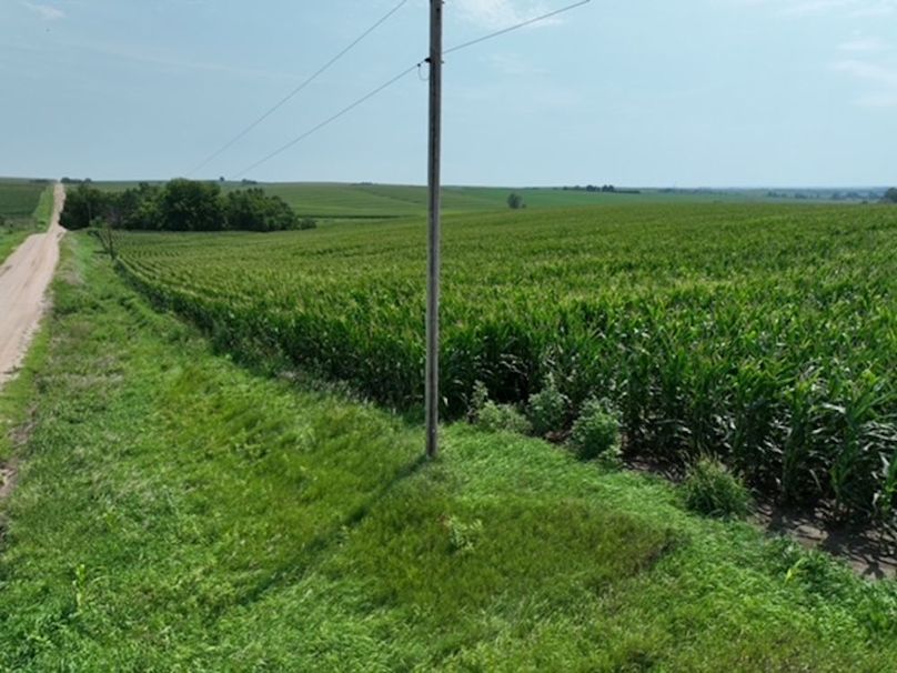 dji_fly_20250805_125440_381_1755697034135_photo