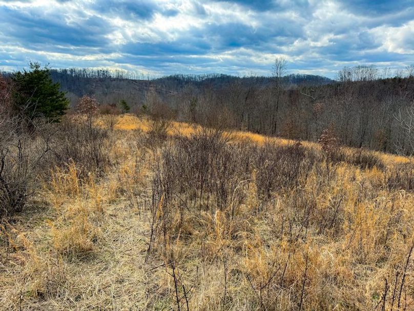 Doddridge, WV 79.08 AC Adams-61