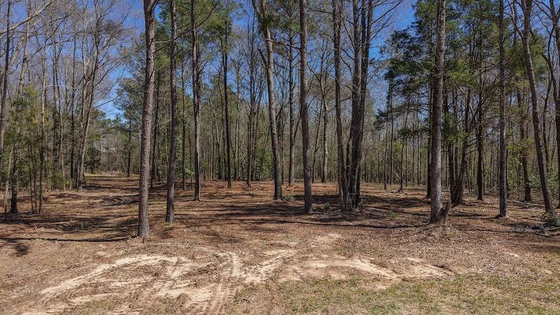 DJI_20260310232415_0008_D