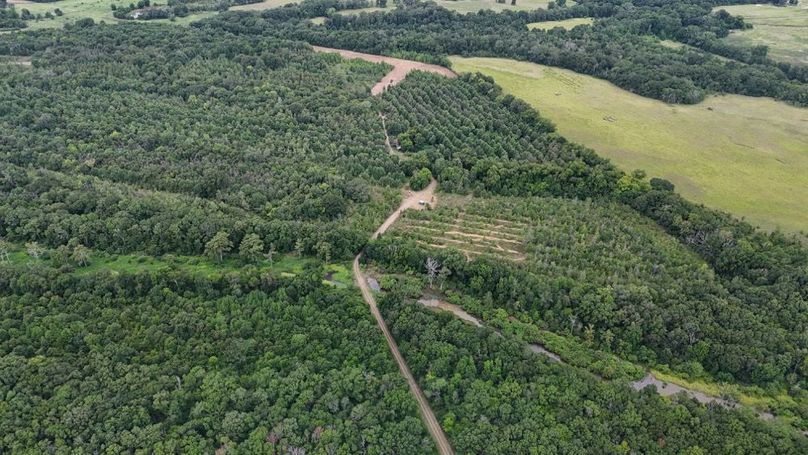 DJI_20250802035417_0558_D