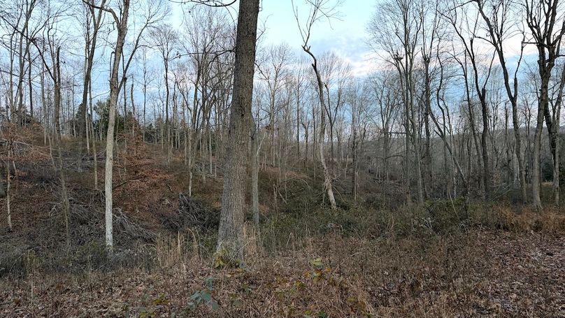 Grayson 48.195 Johnson20