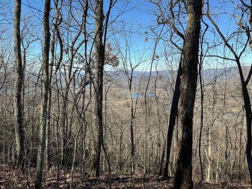 031 Clay 124.76 Fleaback-19