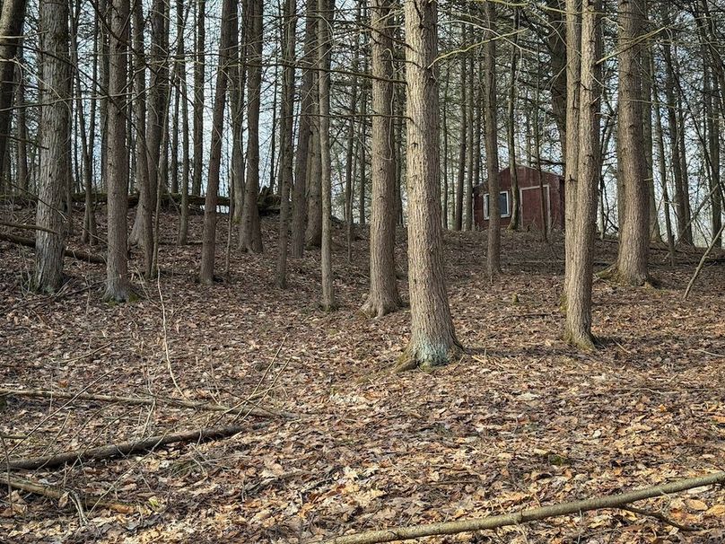 Chemung_59.65_Kocsis_photos_31