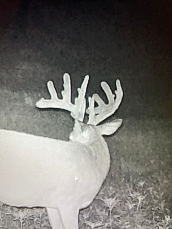 65042412548__11803055-9250-4FF4-9C5B-890309A0D64C