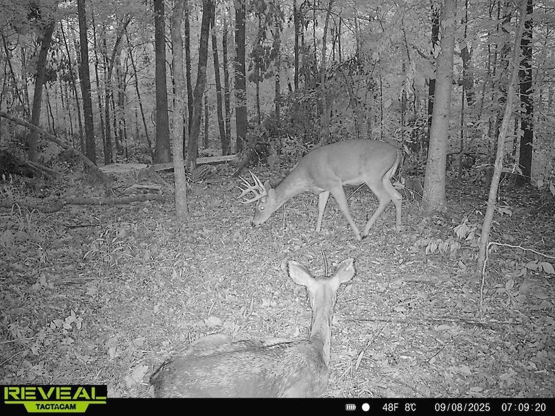 865814048504425-80-2-09082025070920-HD-W1001623