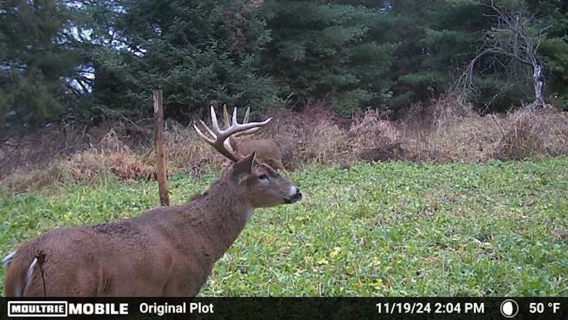 Temp_1082385-20241119200514-100MFCAM_MFDC0537