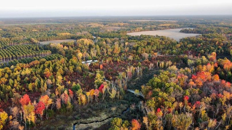 dji_fly_20241011_174932_449_1728687448085_photo_optimized 2