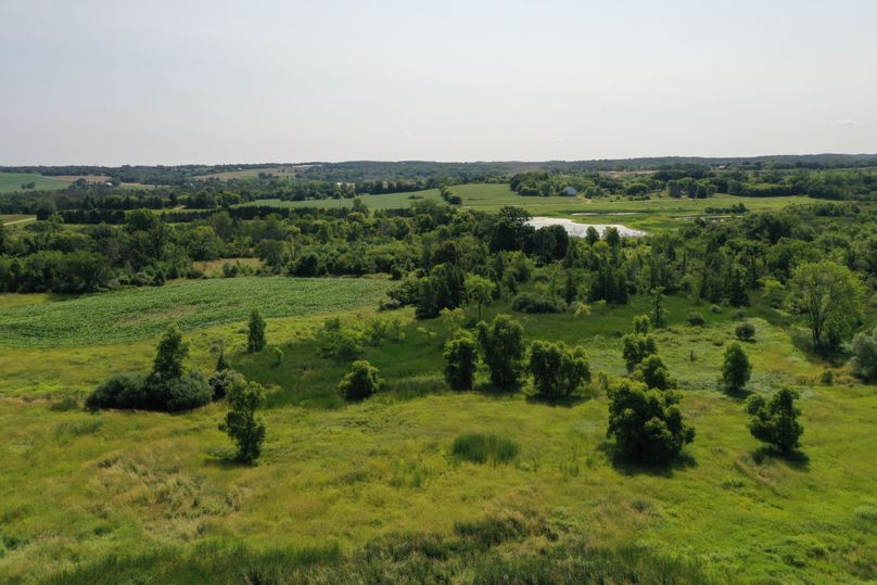 DJI_0710