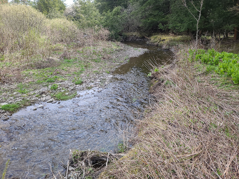 photo_b0fa3682-3b3c-4e18-ad79-e3d896d8c1d3