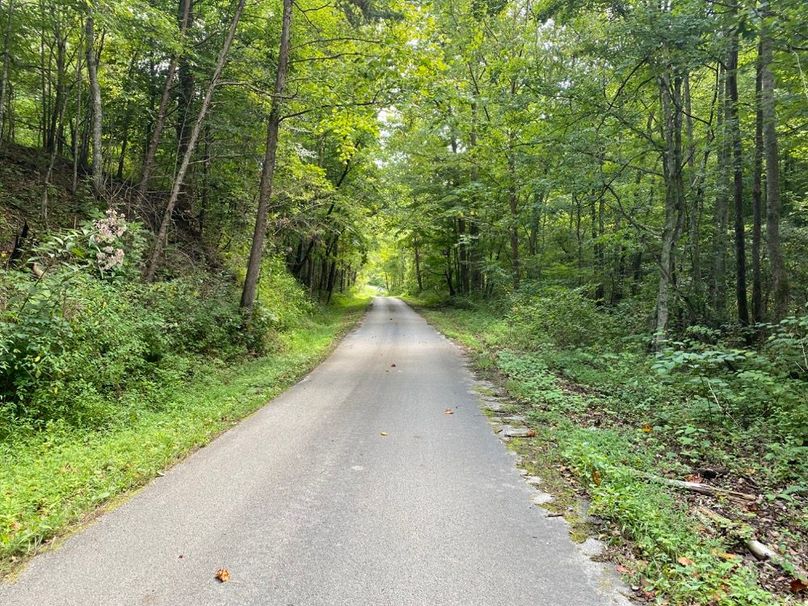 004 the county road at the west edge leading through the property