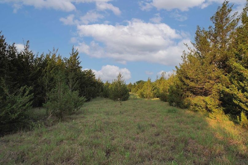 Lamar County- 92.66 Acres (26 of 29)